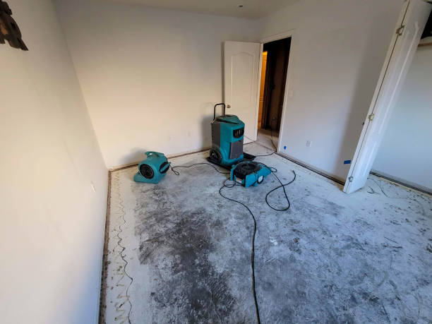 Best Water damage repair service  in Keyes, CA