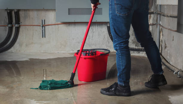 Best Ceiling water damage repair  in Keyes, CA