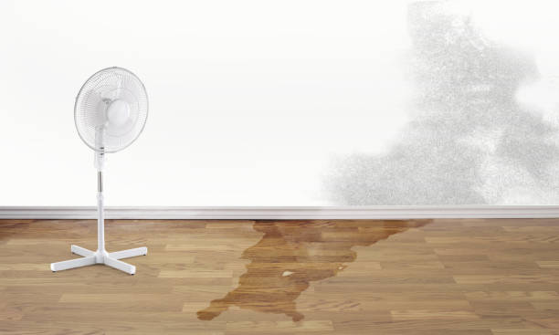 Best Water damage restoration services  in Keyes, CA