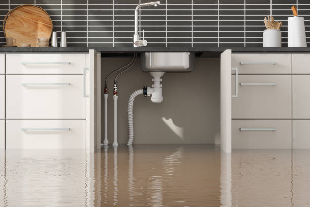 Best Flood restoration services  in Keyes, CA